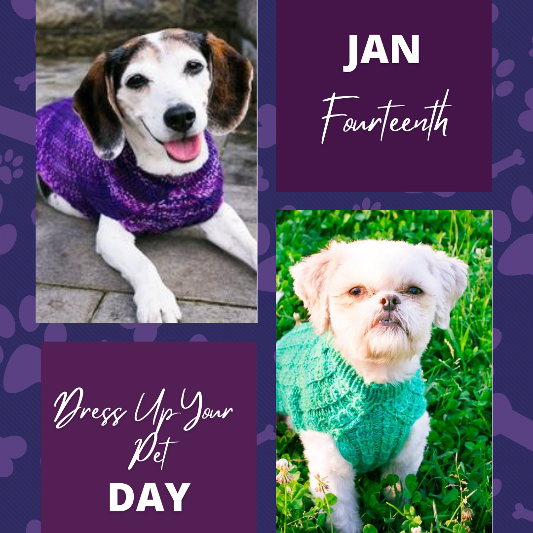 Dress Up Your Pet Day