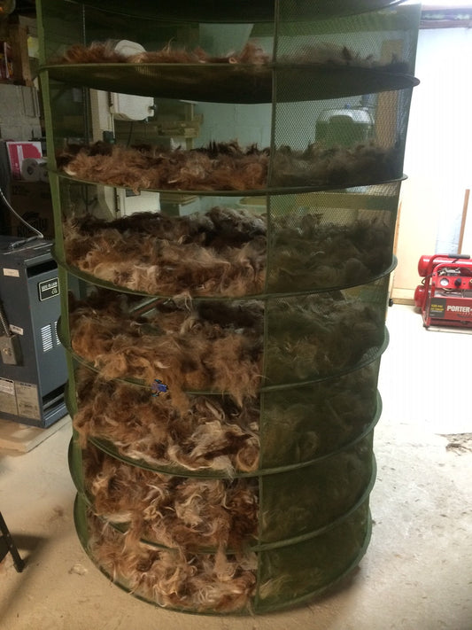 After Washing Comes Drying