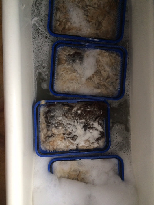 Washing, Washing and More Washing