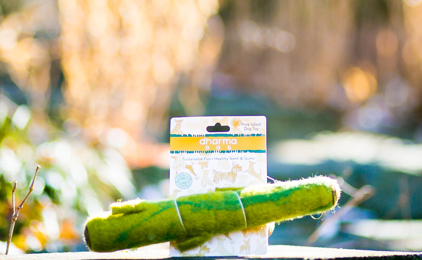 Dharma Dog Stick Toy in Green 10"