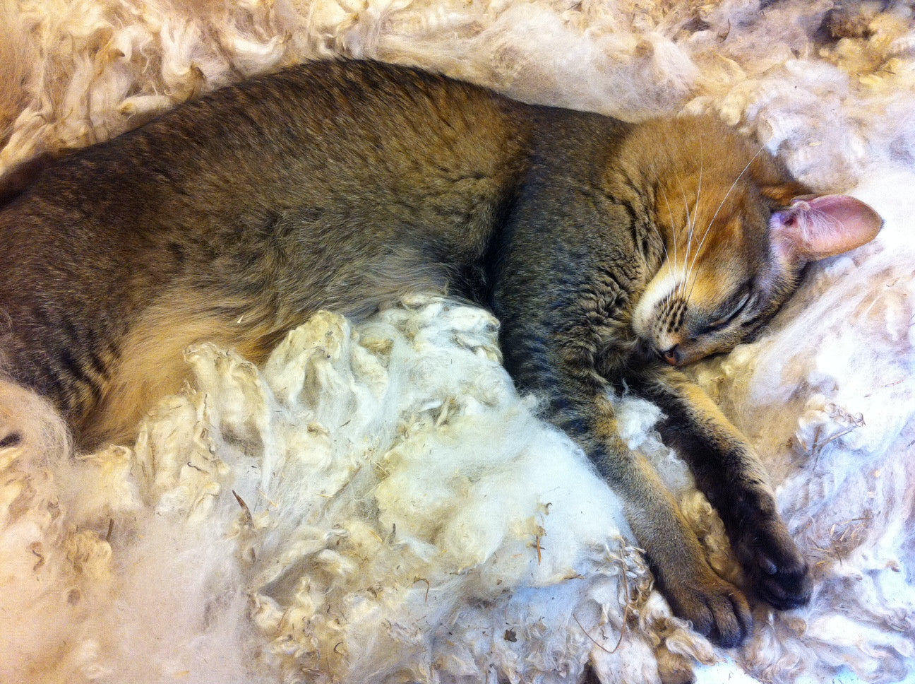 Paca Pet Pouf Pet Bed Flannel Brown Pajama Stripe Cover