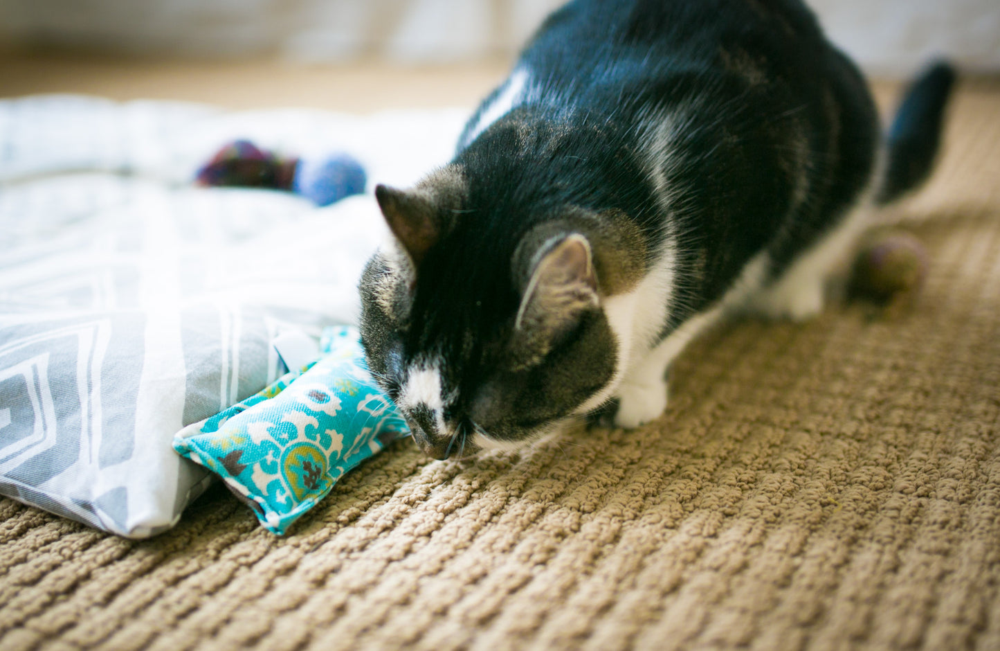 Flannel Mini Kitty Nip Kicker Catnip Toy in Teal Hoot Owl Role Call