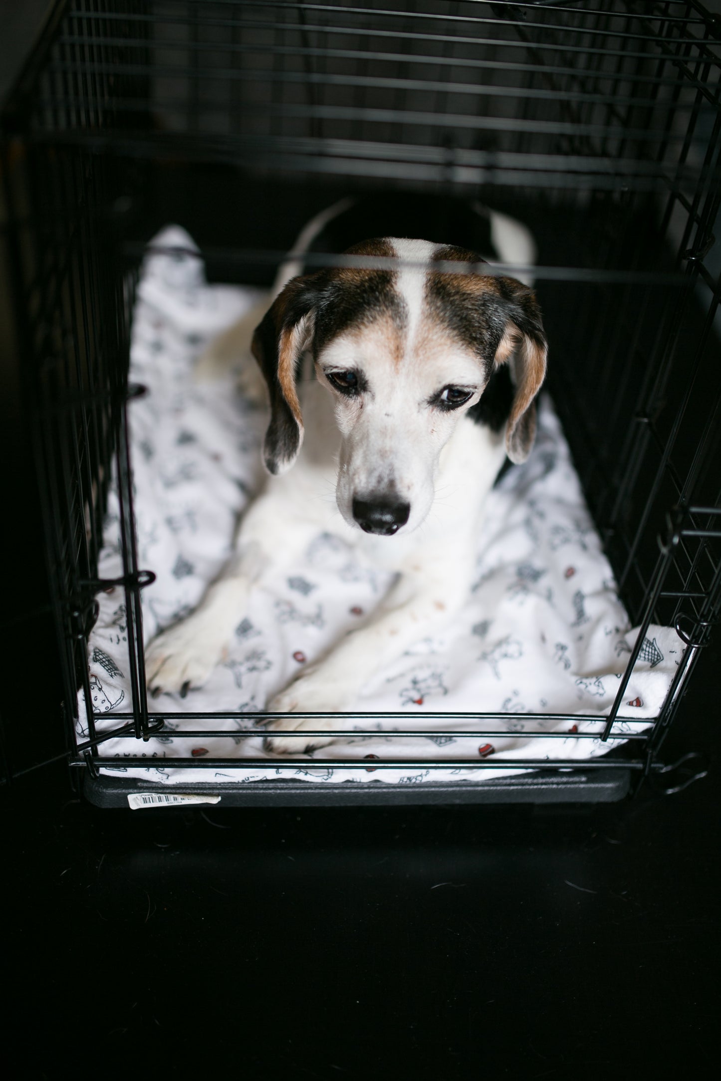 Paca Pet Pouf Pet Bed Flannel Solid Peach Cover