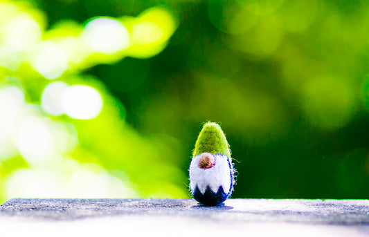 Felted Wool Gnome Cat Toy in Green - With or Without Catnip