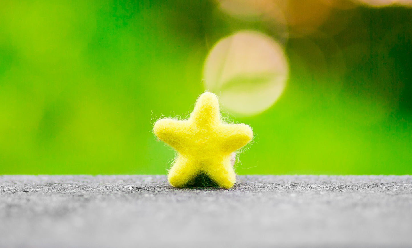 Felted Stars Catnip Cat Toy Trio Beach Collection