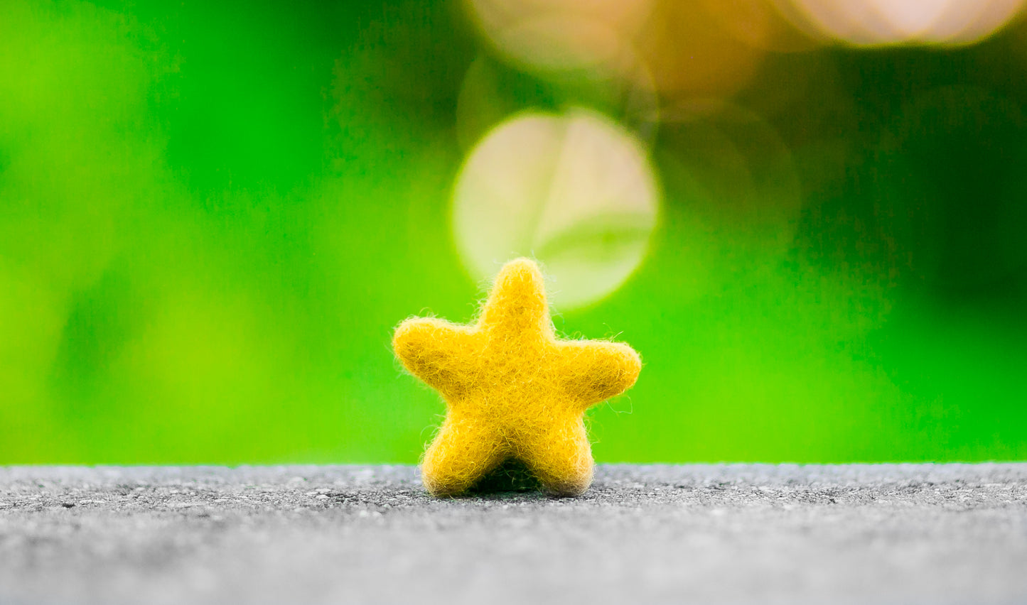 Felted Stars Catnip Cat Toy Trio Beach Collection