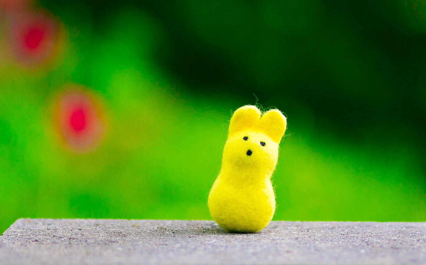 Felted Wool Bunny Cat Toy in Yellow - With or Without Catnip