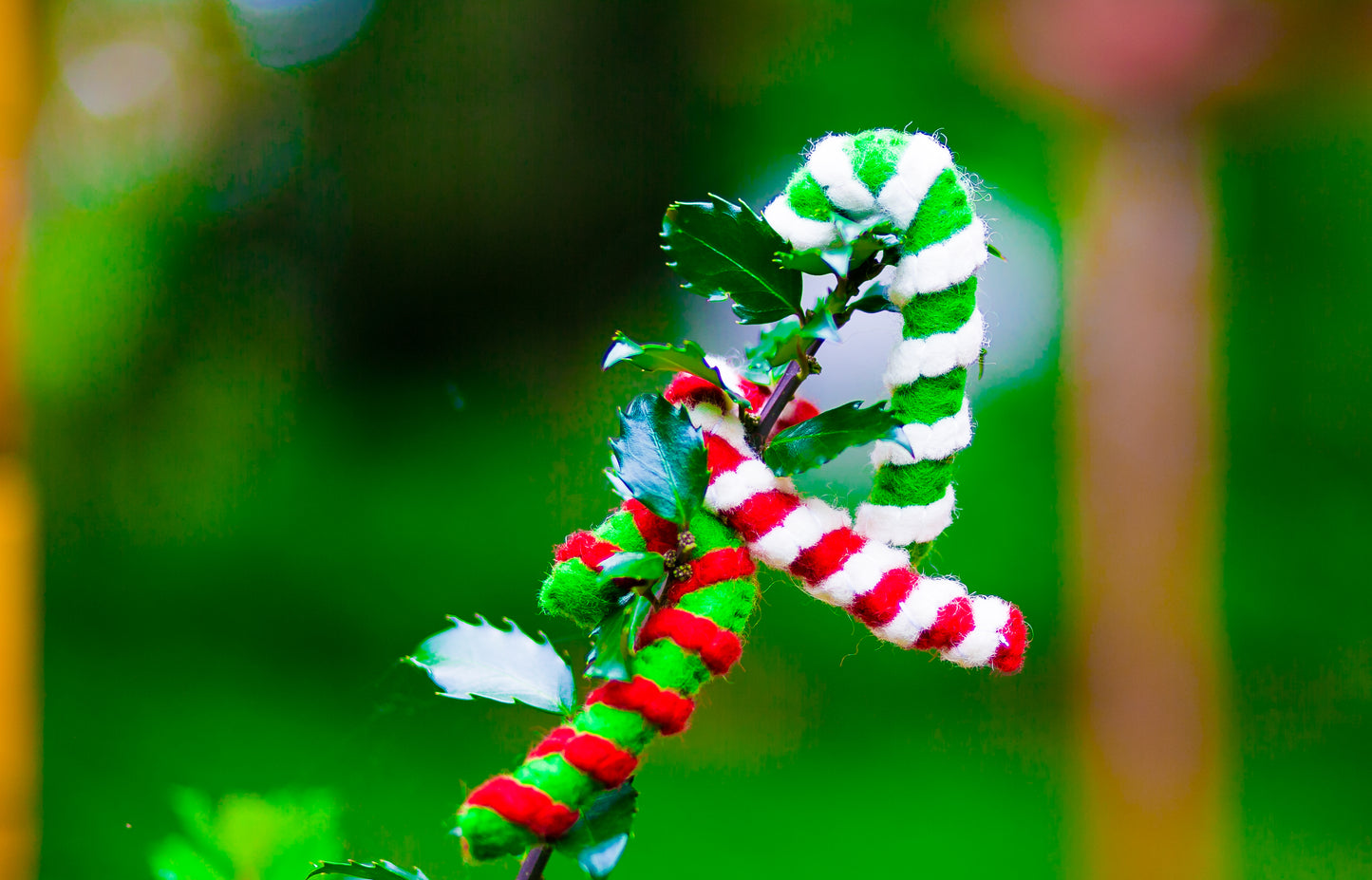 Karma Cat Felted Wool Candy Cane Christmas Cat Toy