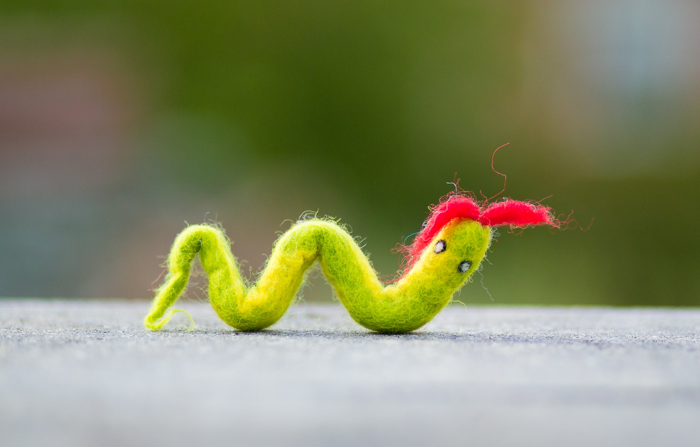 Karma Cat Backyard Friends Felted Wool Snake Cat Toy in Green Sugarboy's