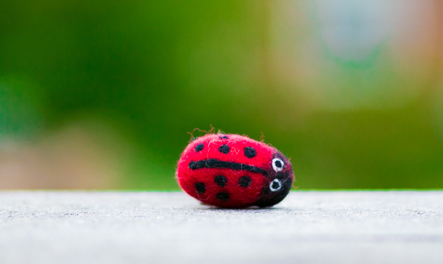 Karma Cat Backyard Friends Felted Ladybug