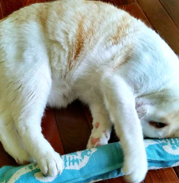 Twill Kitty Nip Kicker Catnip Cat Toy in Raspberry Farrah Slub Canvas - 3 SIZES!