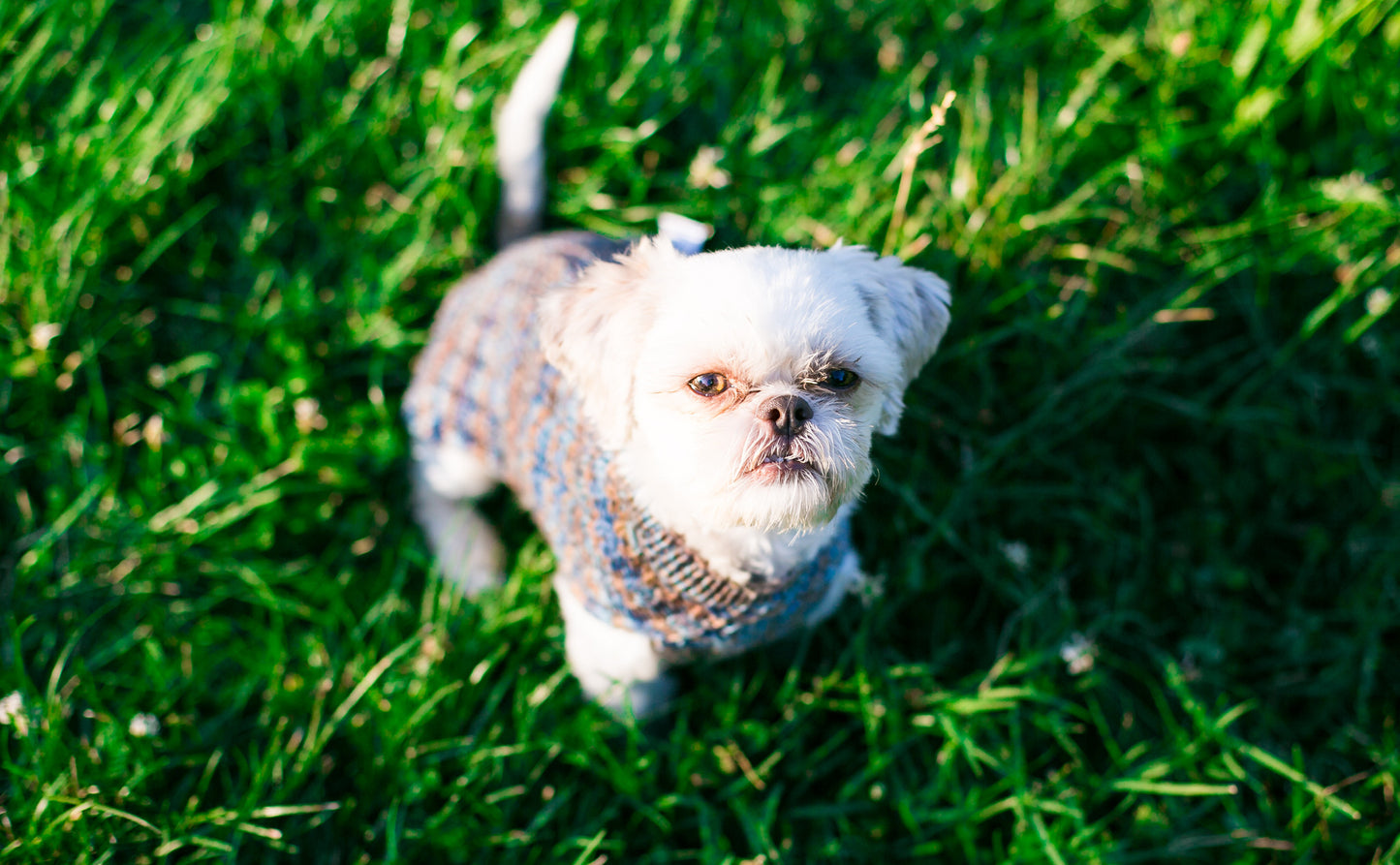 Cat & Dog Pet Sweaters in Sandridge - VERY LIMITED QUANTITY AND LAST OF THIS COLORWAY!