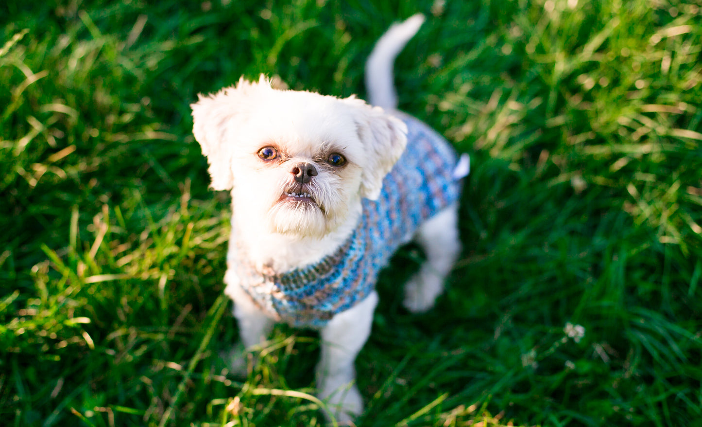 Cat & Dog Pet Sweaters in Sandridge - VERY LIMITED QUANTITY AND LAST OF THIS COLORWAY!