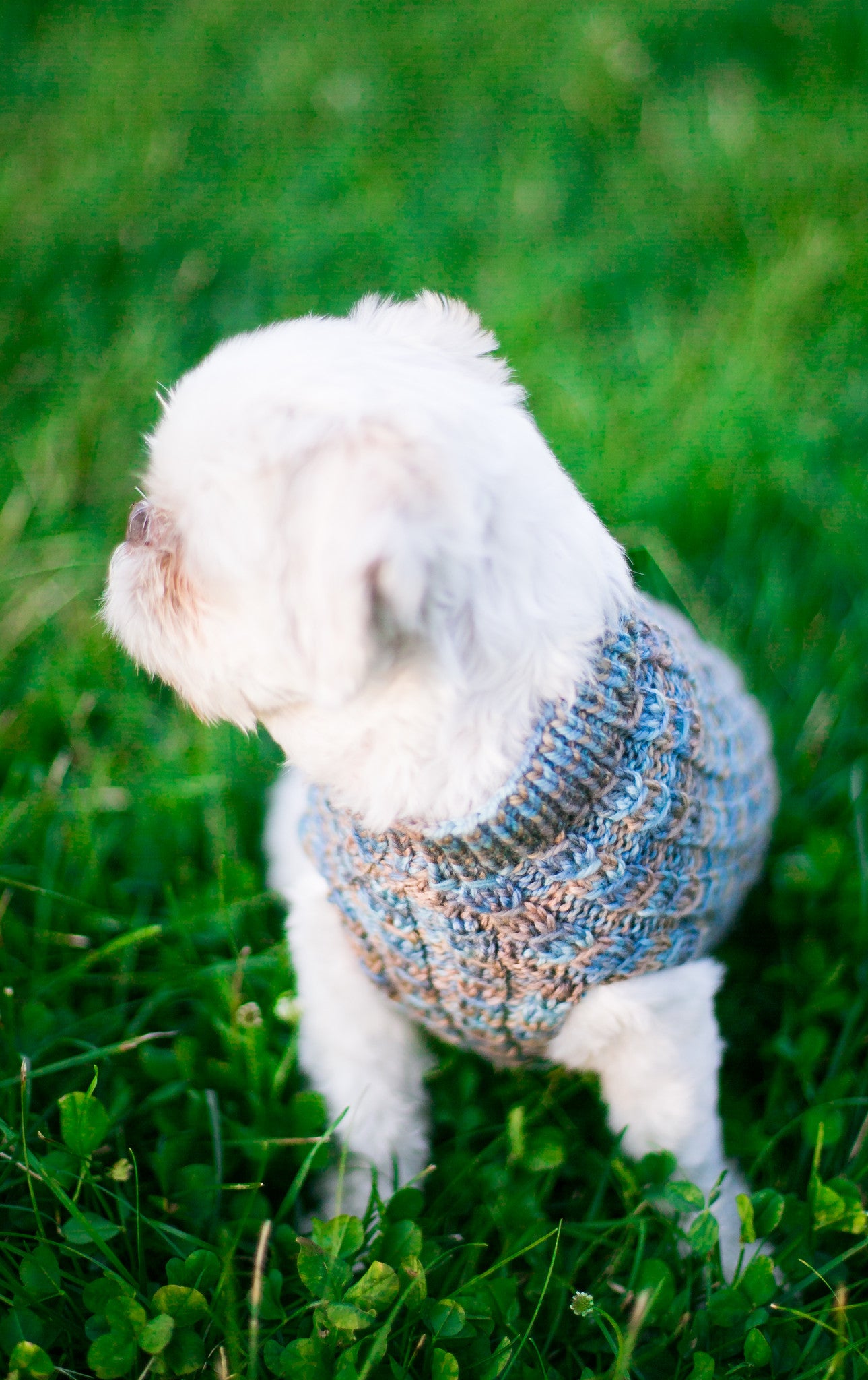 Cat & Dog Pet Sweaters in Sandridge - VERY LIMITED QUANTITY AND LAST OF THIS COLORWAY!