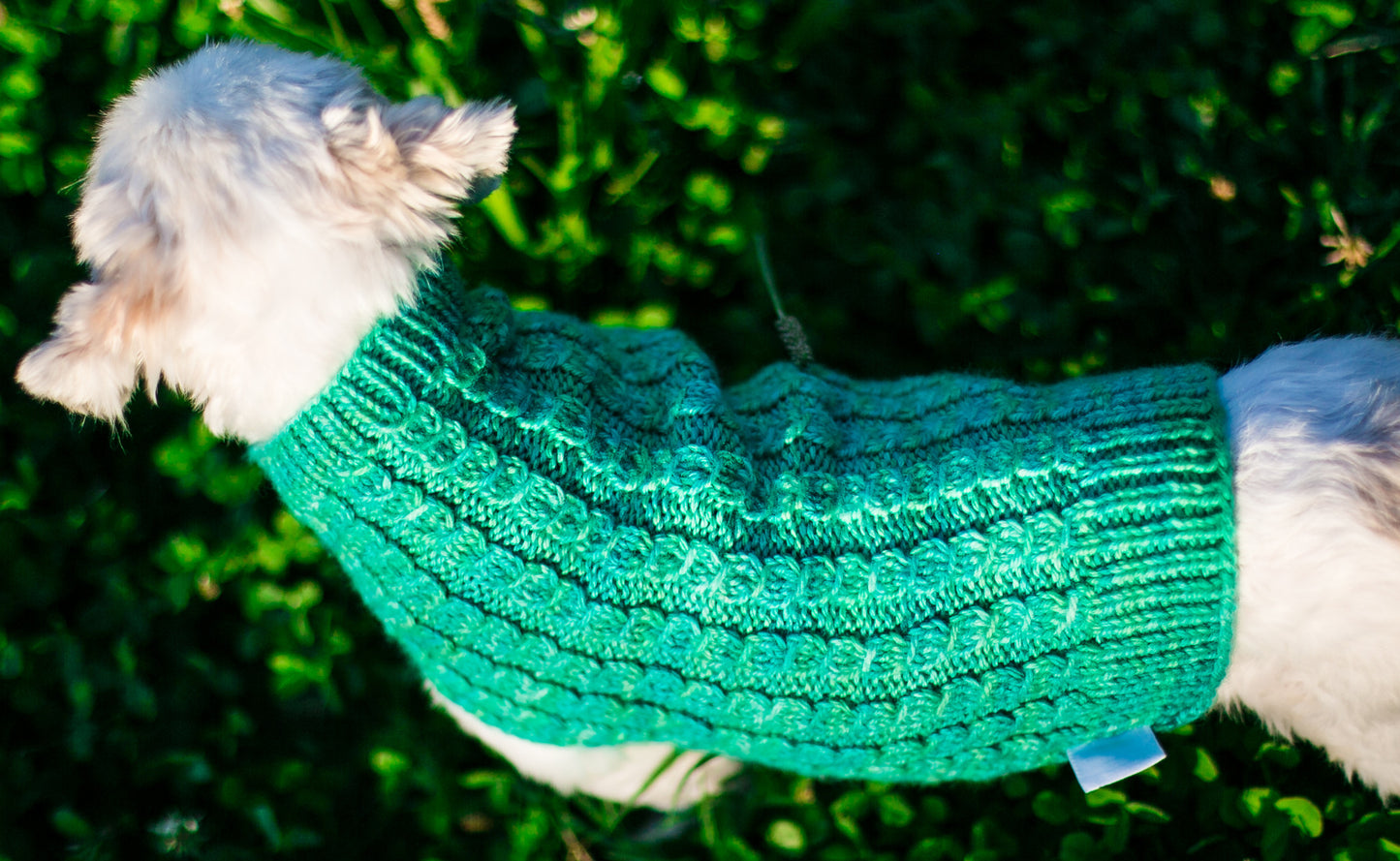 Cat & Dog Pet Sweaters in Campbell - LAST OF THIS COLORWAY!