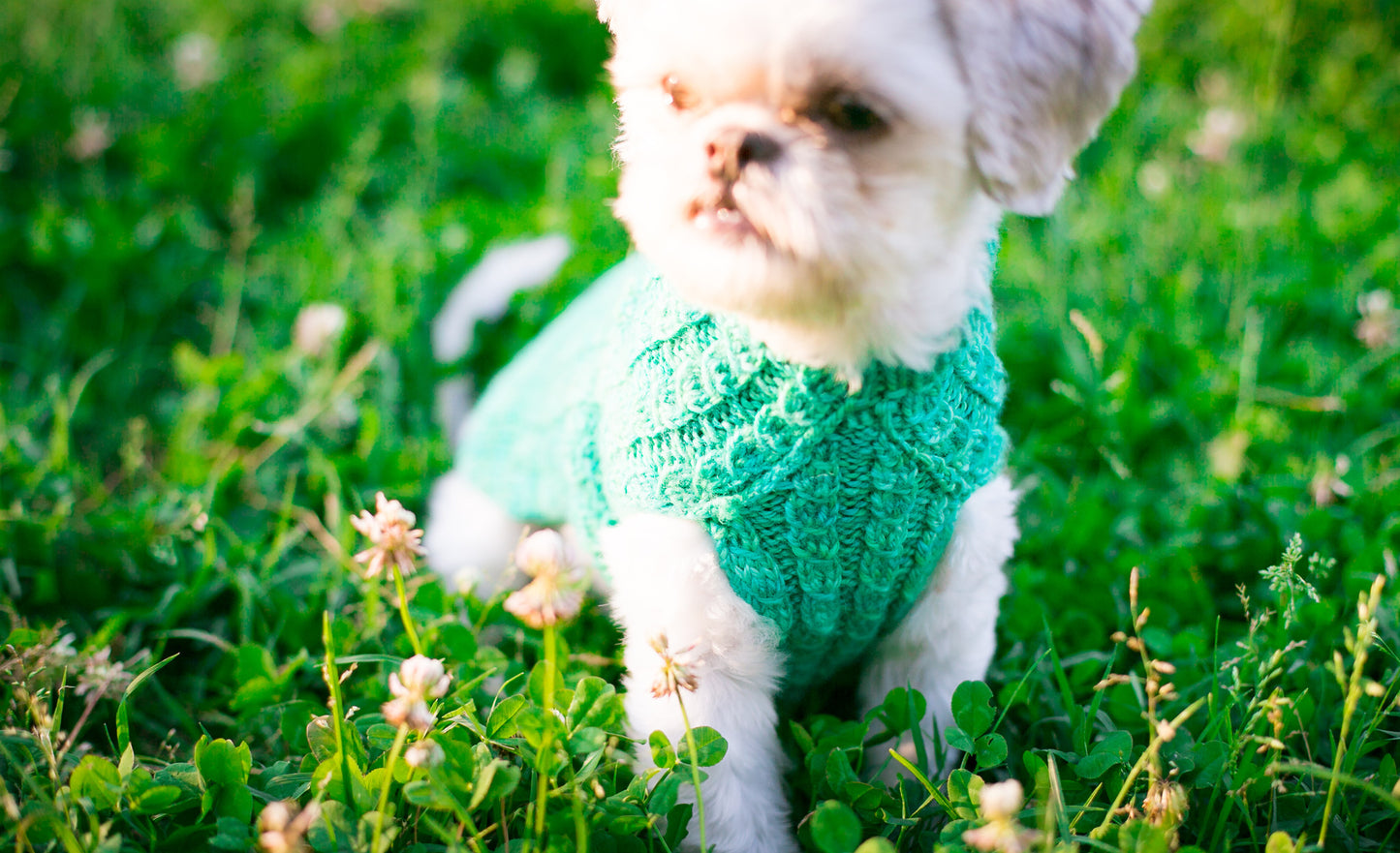 Cat & Dog Pet Sweaters in Campbell - LAST OF THIS COLORWAY!