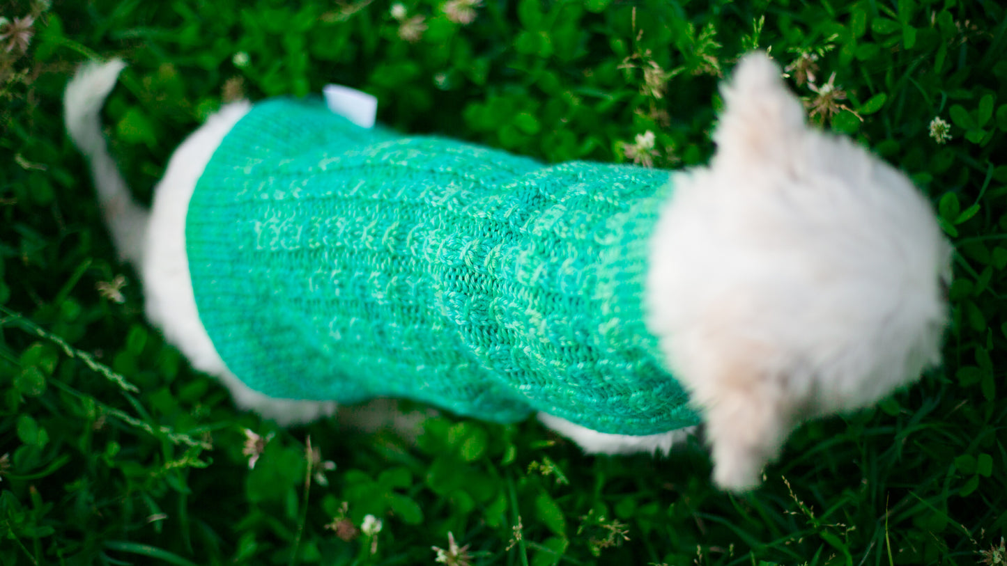 Cat & Dog Pet Sweaters in Campbell - LAST OF THIS COLORWAY!