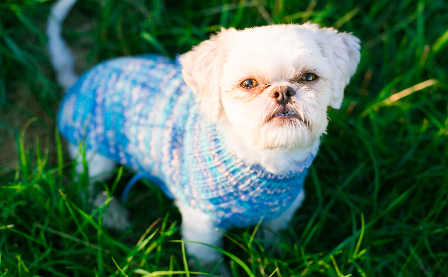Cat & Dog Pet Sweaters in Jay Pond - VERY LIMITED QUANTITY AND LAST OF THIS COLORWAY!