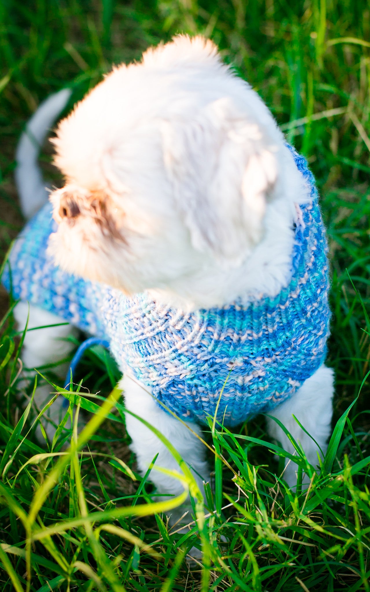 Cat & Dog Pet Sweaters in Jay Pond - VERY LIMITED QUANTITY AND LAST OF THIS COLORWAY!