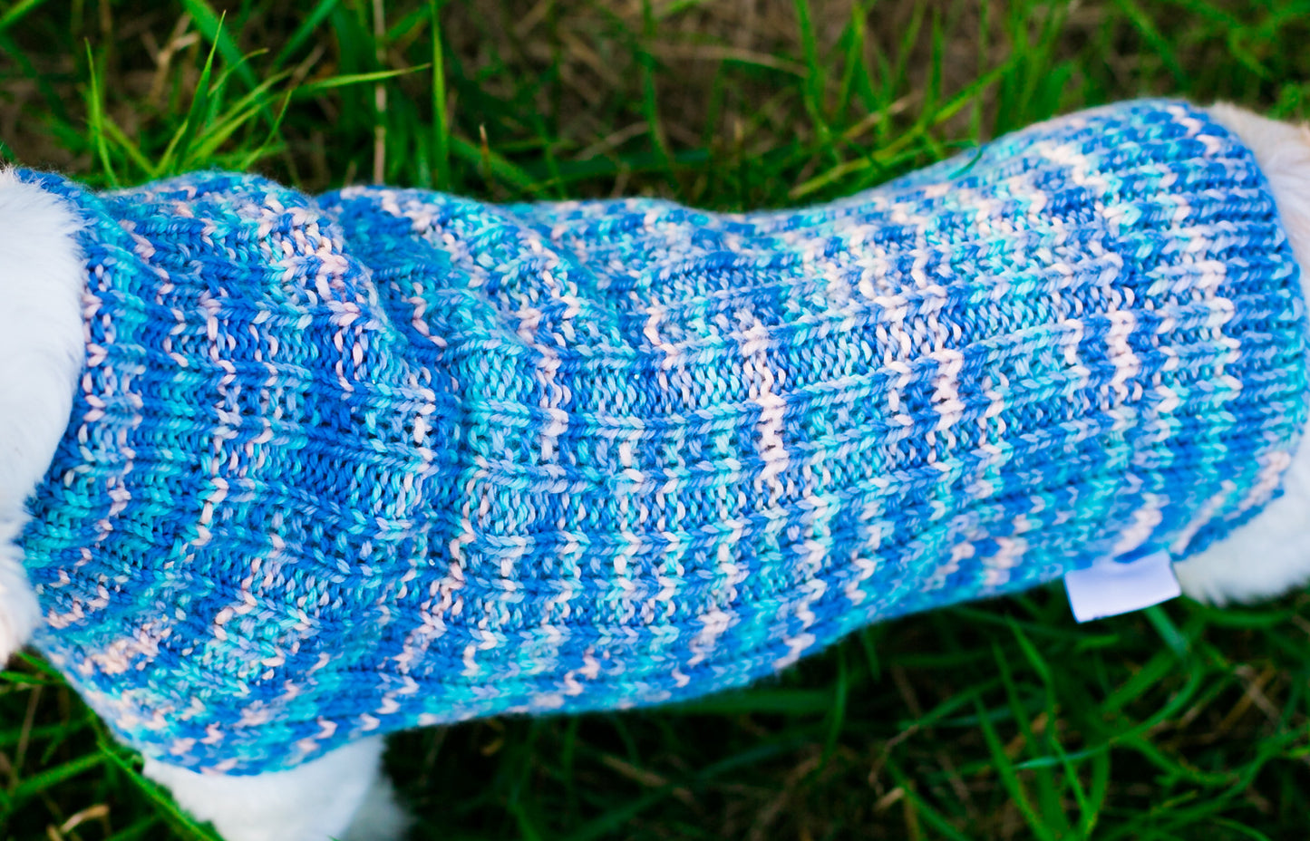 Cat & Dog Pet Sweaters in Jay Pond - VERY LIMITED QUANTITY AND LAST OF THIS COLORWAY!