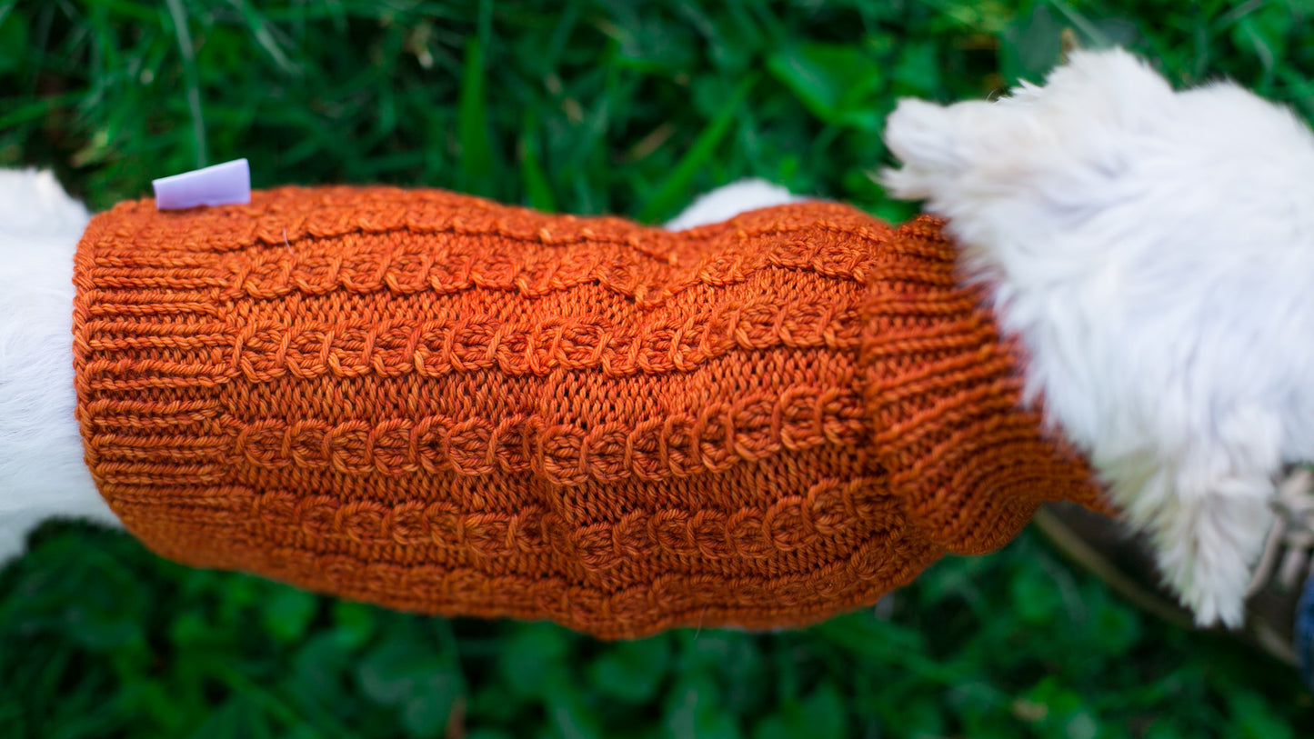Cat & Dog Pet Sweaters in Pumpkin LAST ONE!