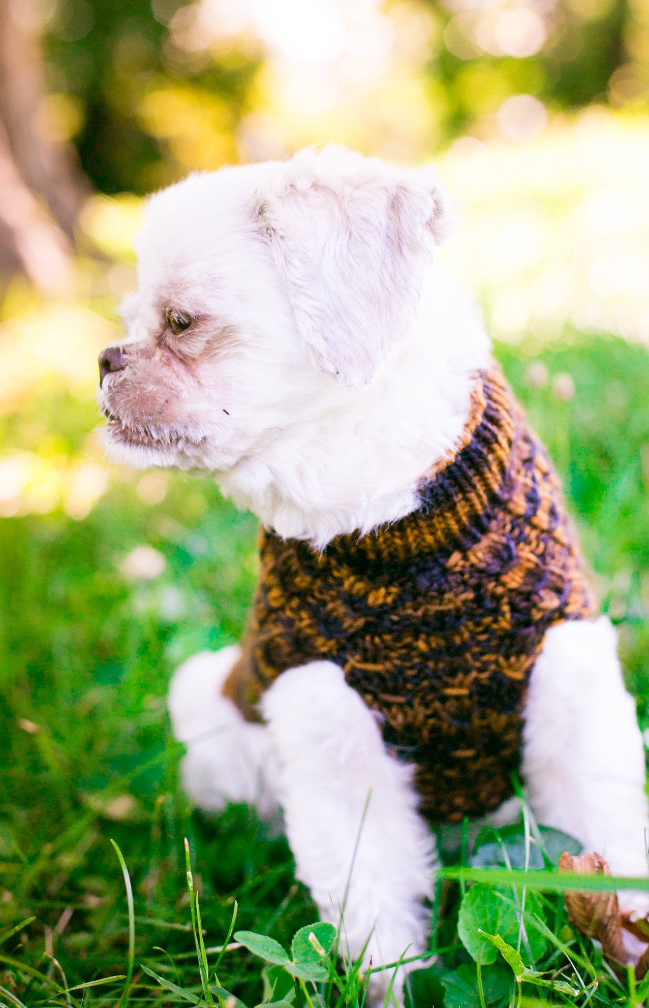 Cat & Dog Pet Sweaters in Safari - VERY LIMITED QUANTITY AND LAST OF THIS COLORWAY!