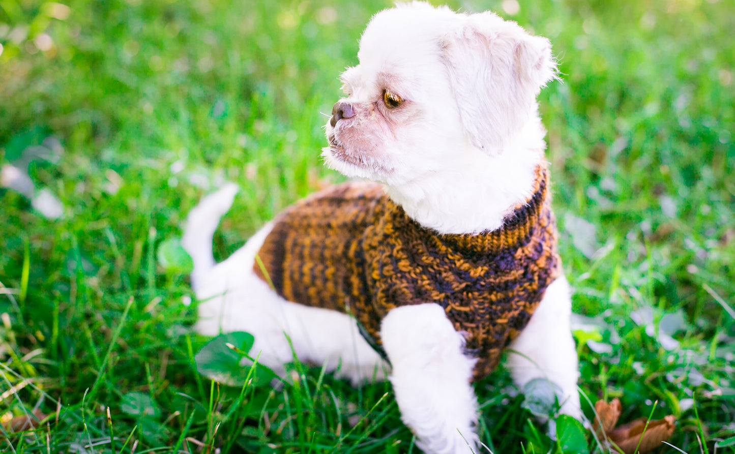 Cat & Dog Pet Sweaters in Safari - VERY LIMITED QUANTITY AND LAST OF THIS COLORWAY!