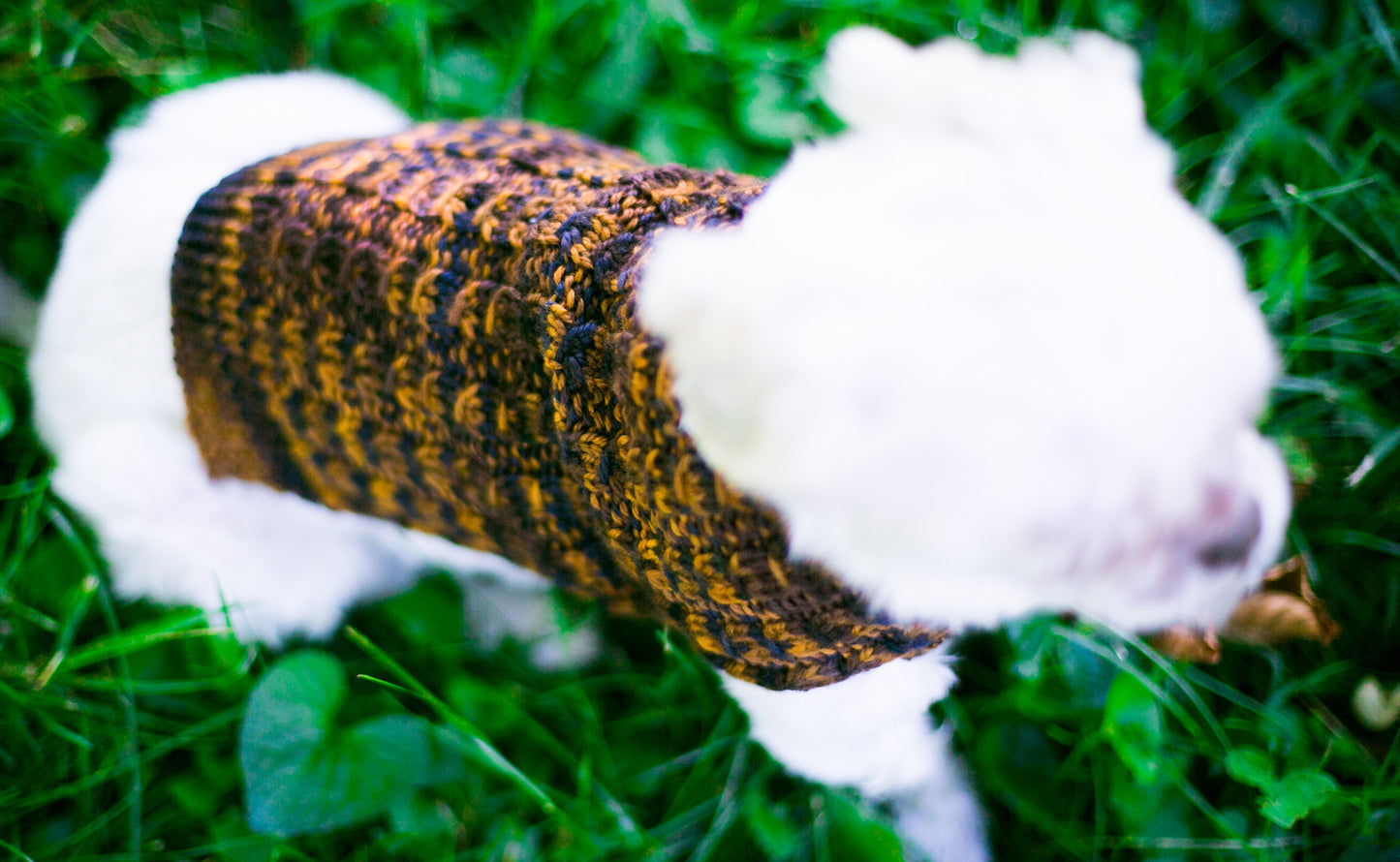 Cat & Dog Pet Sweaters in Safari - VERY LIMITED QUANTITY AND LAST OF THIS COLORWAY!