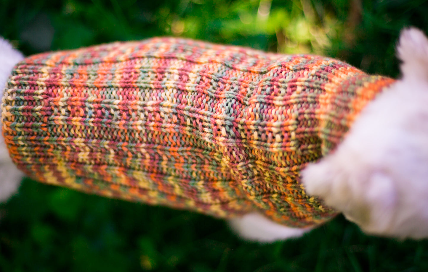 Cat & Dog Pet Sweaters in Glenwood