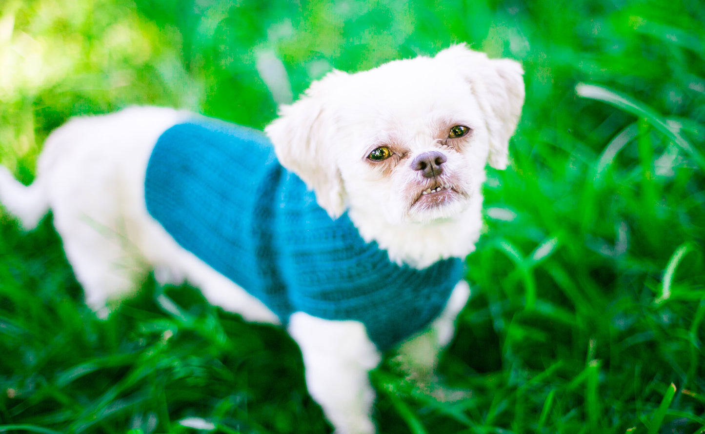 Cat & Dog Pet Sweaters in Jade LAST ONE!