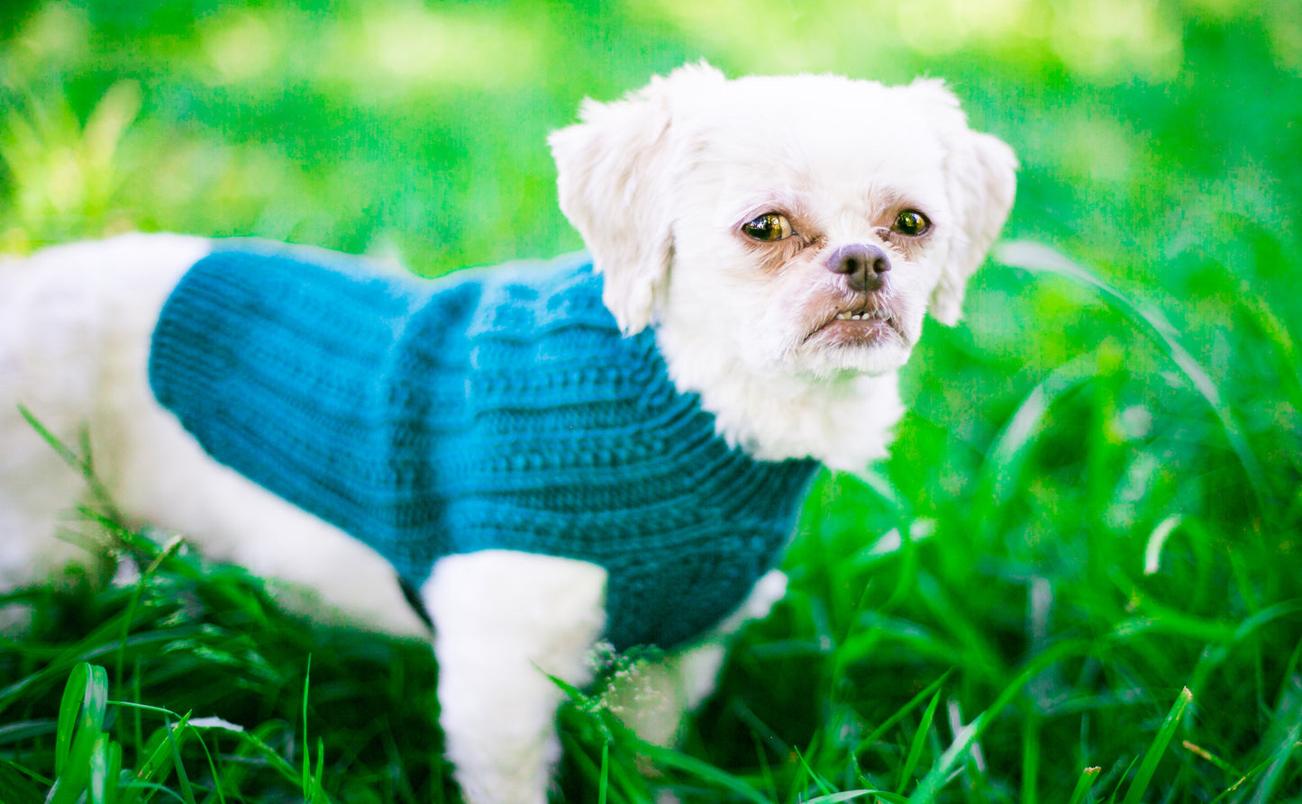 Cat & Dog Pet Sweaters in Jade LAST ONE!