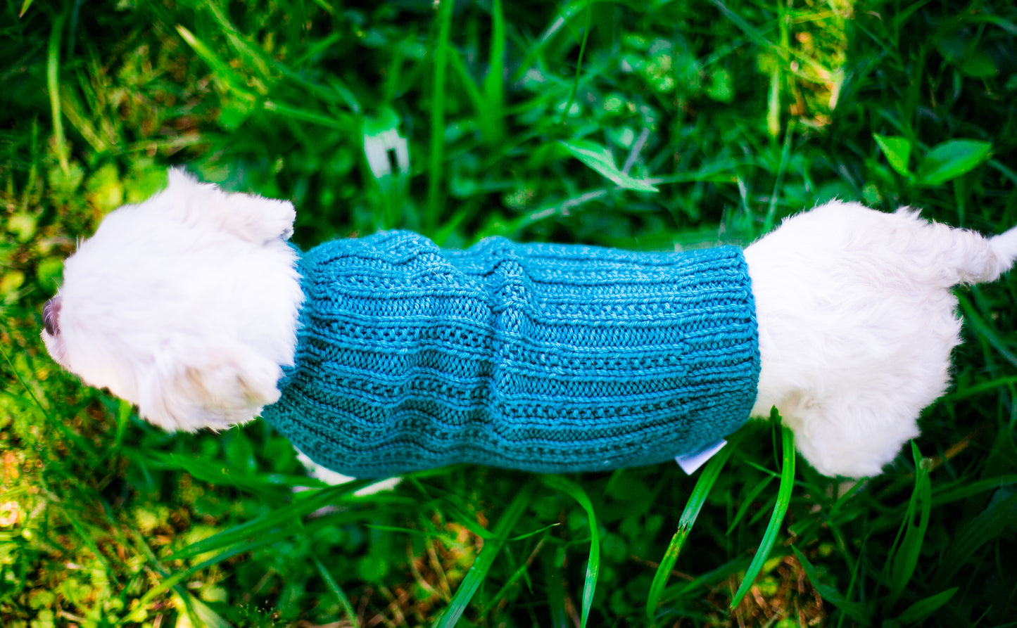 Cat & Dog Pet Sweaters in Jade LAST ONE!