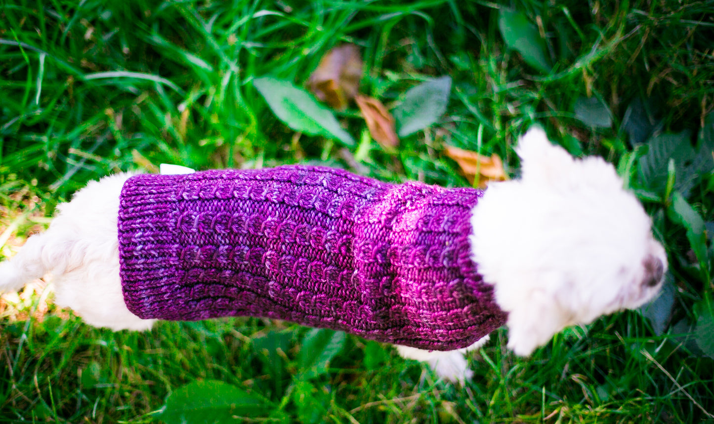 Cat & Dog Pet Sweaters in Blackberry LAST ONE!