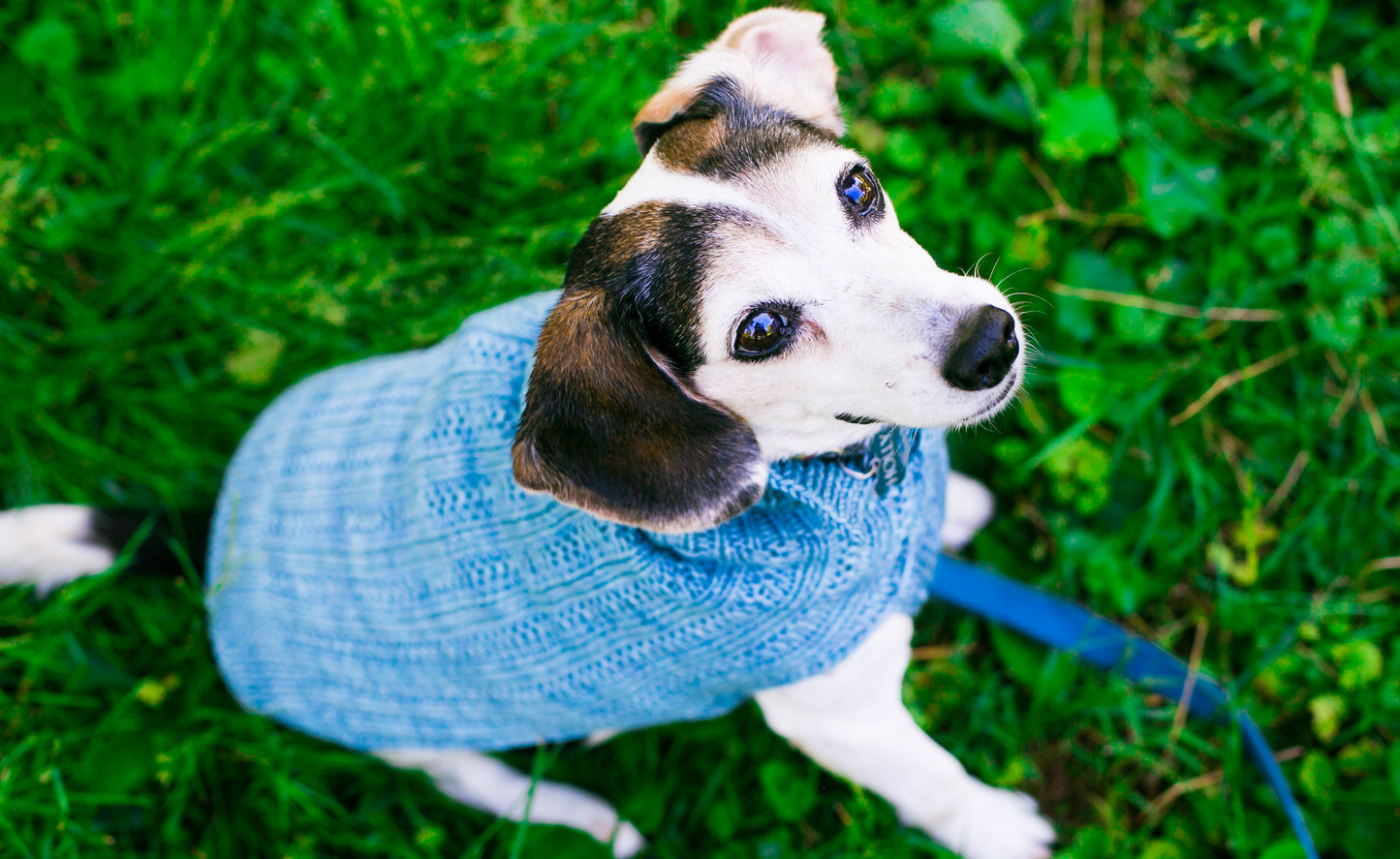 Cat & Dog Pet Sweaters in Hush LAST ONE!