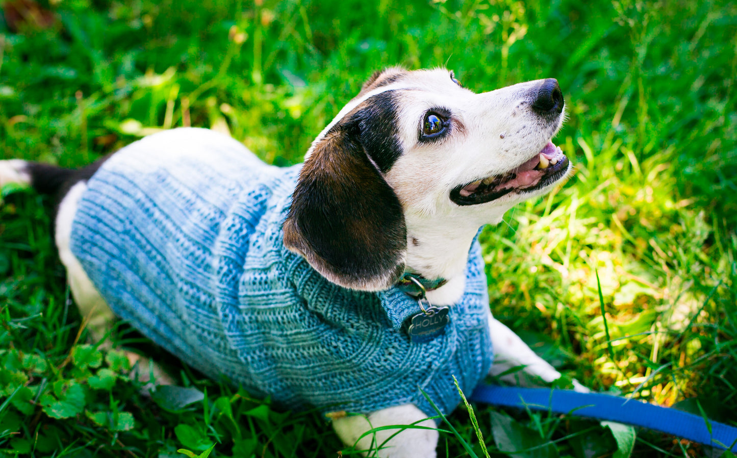 Cat & Dog Pet Sweaters in Hush LAST ONE!