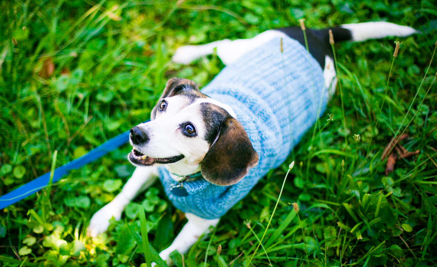 Cat & Dog Pet Sweaters in Hush LAST ONE!