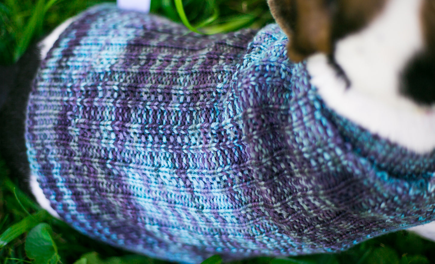 Cat & Dog Pet Sweaters in Amy's Vintage Office - VERY LIMITED QUANTITY AND LAST OF THIS COLORWAY!