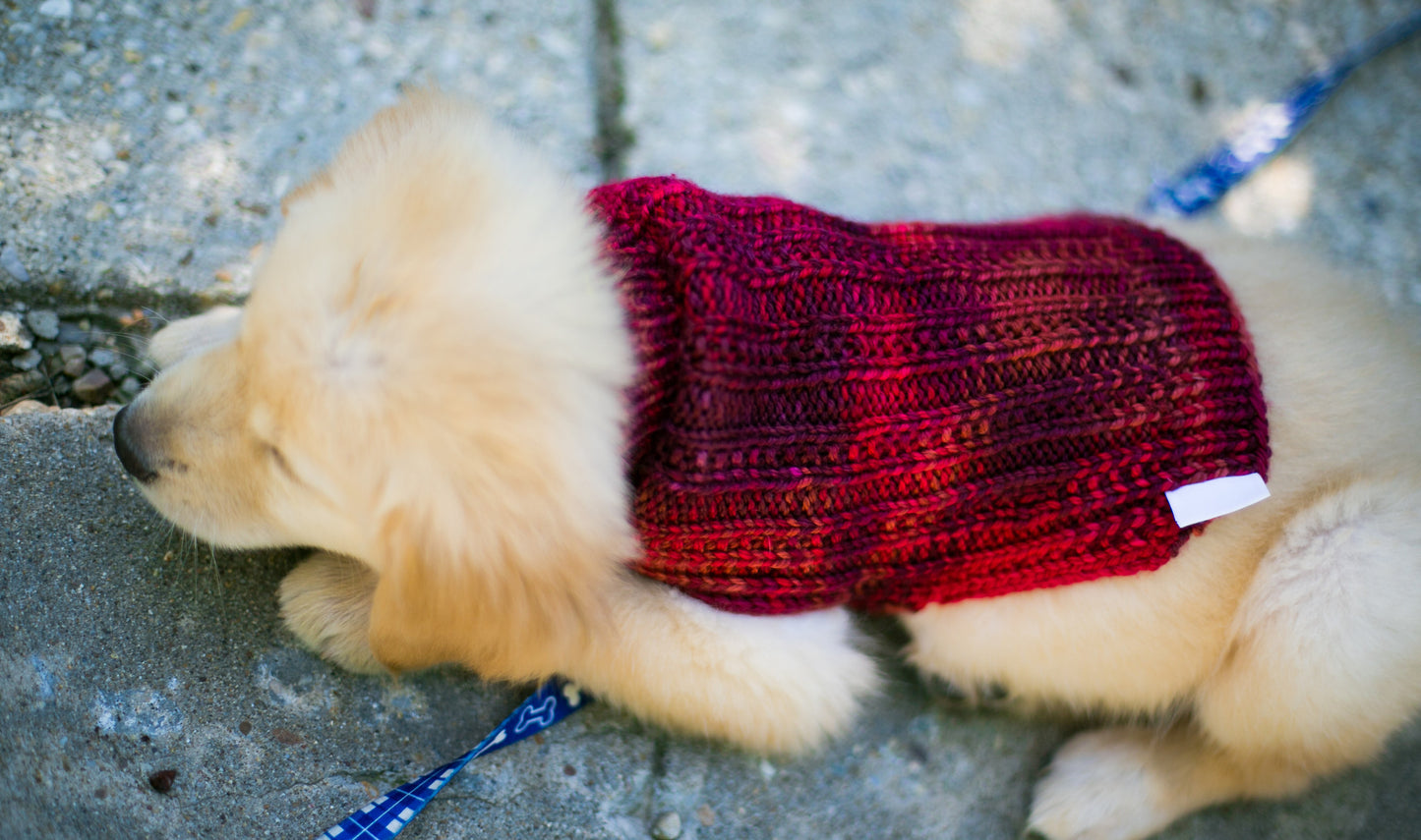Cat & Dog Pet Sweaters in Red Rover LAST OF THIS COLORWAY!