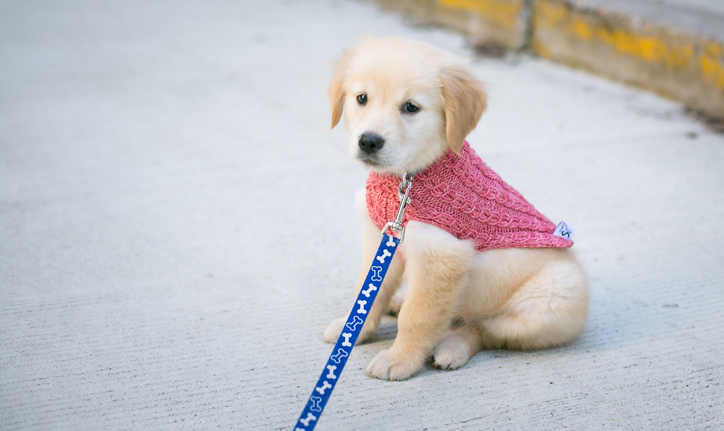 Cat & Dog Pet Sweaters in Pink Grapefruit