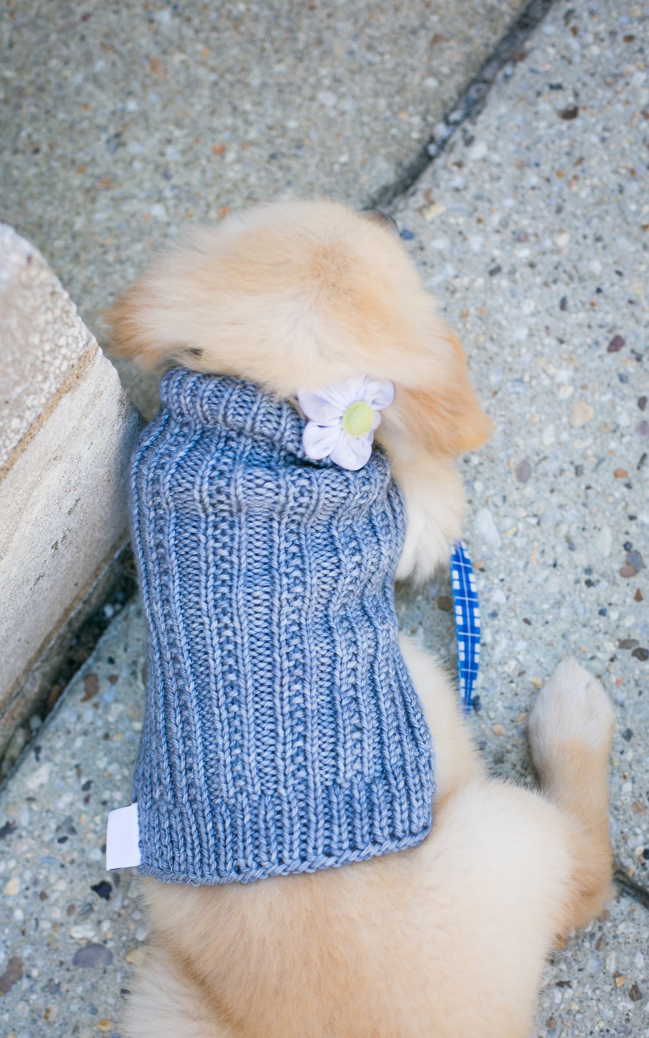 Cat & Dog Pet Sweaters in Silver LAST ONE!