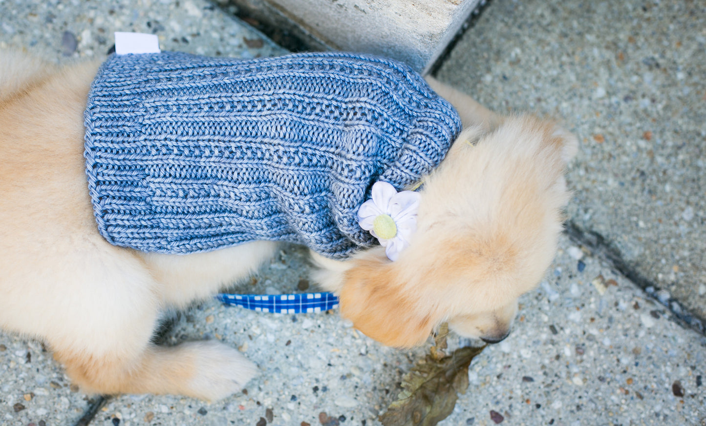Cat & Dog Pet Sweaters in Silver LAST ONE!