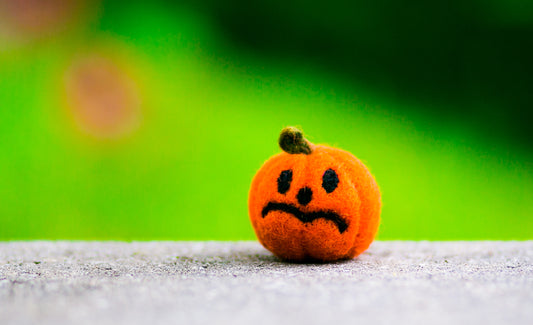 Karma Cat Felted Wool Halloween Cat Toy Jack O Lantern Halloween Pumpkin