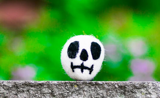 Karma Cat Felted Wool Halloween Cat Toy Skull