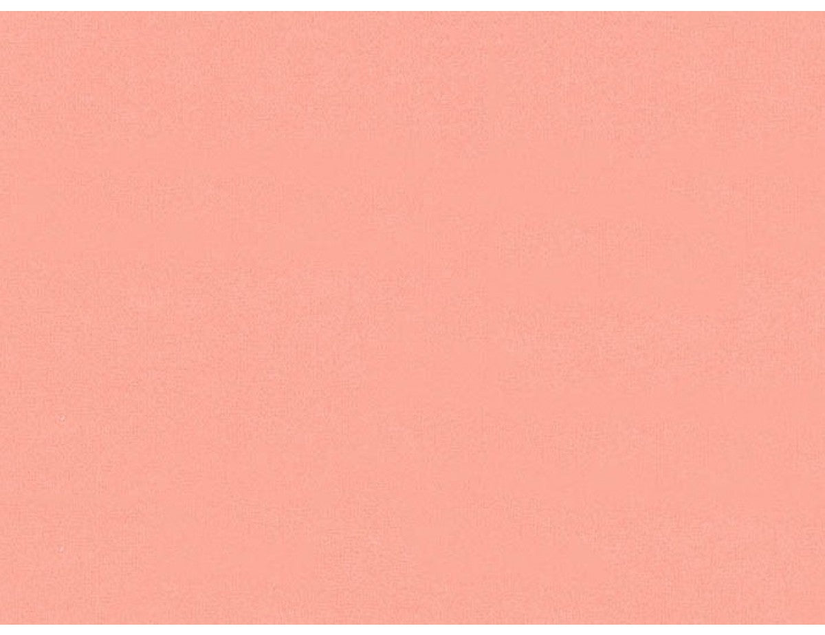 Paca Pet Pouf Pet Bed Flannel Solid Peach Cover