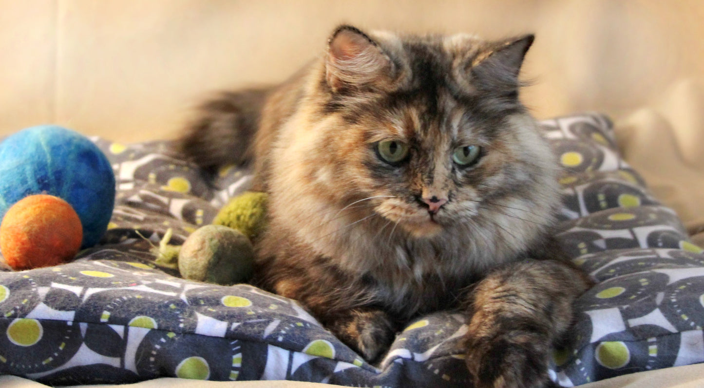 Paca Pet Pouf Pet Bed Flannel Brown Pajama Stripe Cover