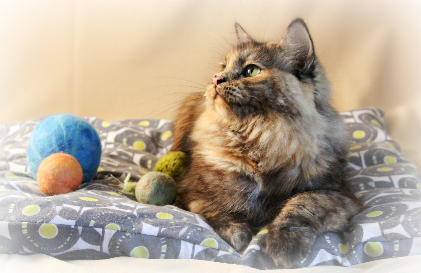 Paca Pet Pouf Pet Bed Flannel Red Sasparilla Bandanna Cover