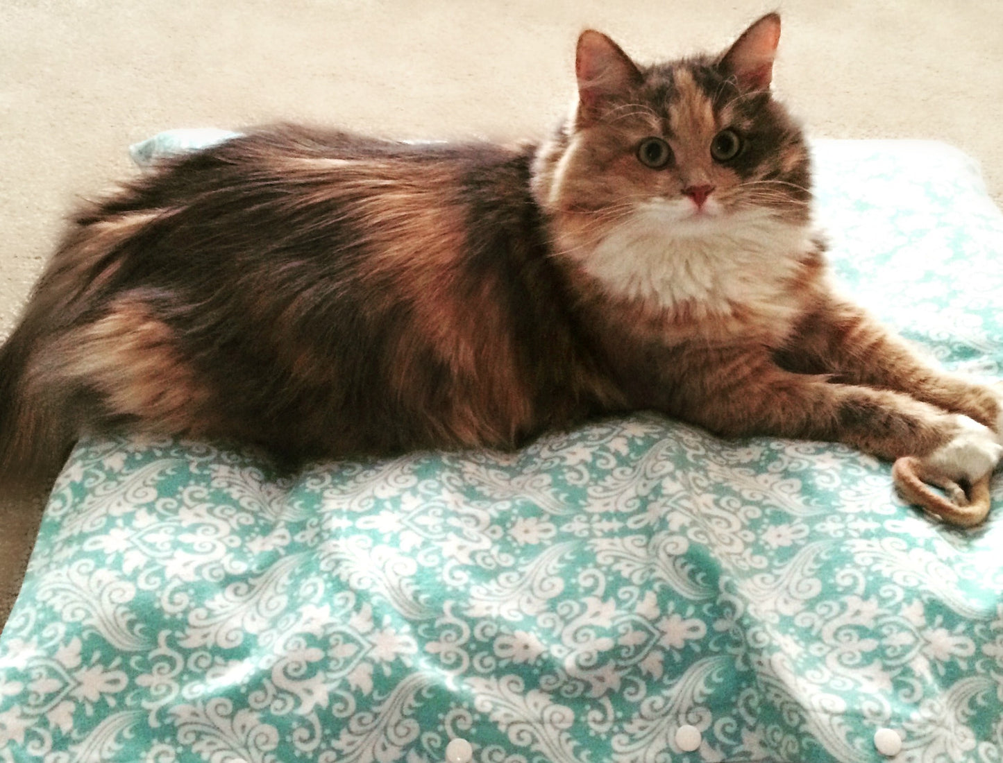 Paca Pet Pouf Pet Bed Flannel Solid Peach Cover