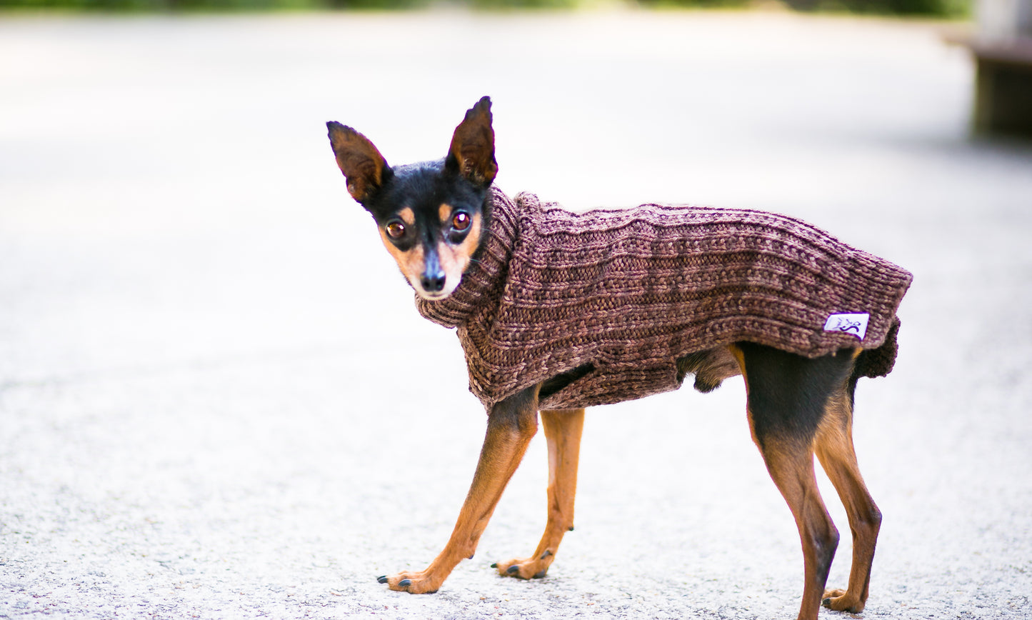 Cat & Dog Pet Sweaters in Mineshaft - LAST OF THIS COLORWAY!