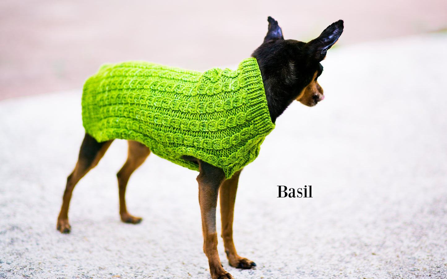 Cat & Dog Pet Sweaters Size Small READY TO SHIP