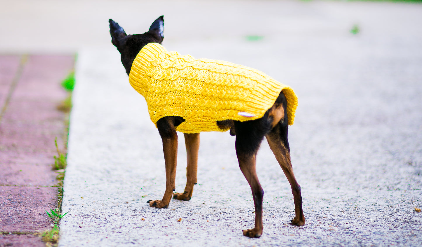 Cat & Dog Pet Sweaters in Lemon Curd